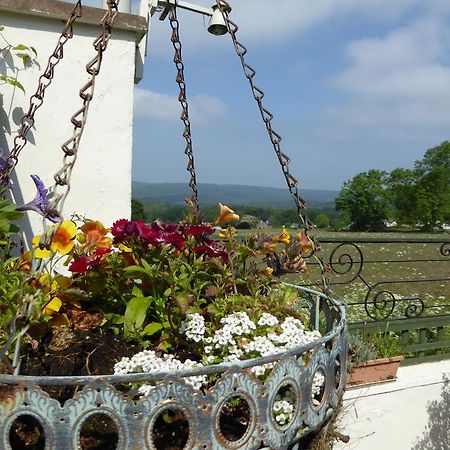 Dean Valley Panorama Bed & Breakfast Lydney Eksteriør billede