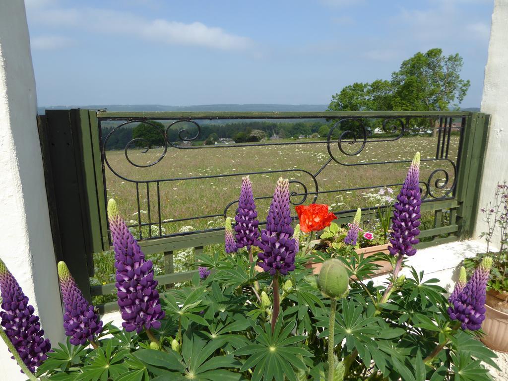 Dean Valley Panorama Bed & Breakfast Lydney Eksteriør billede