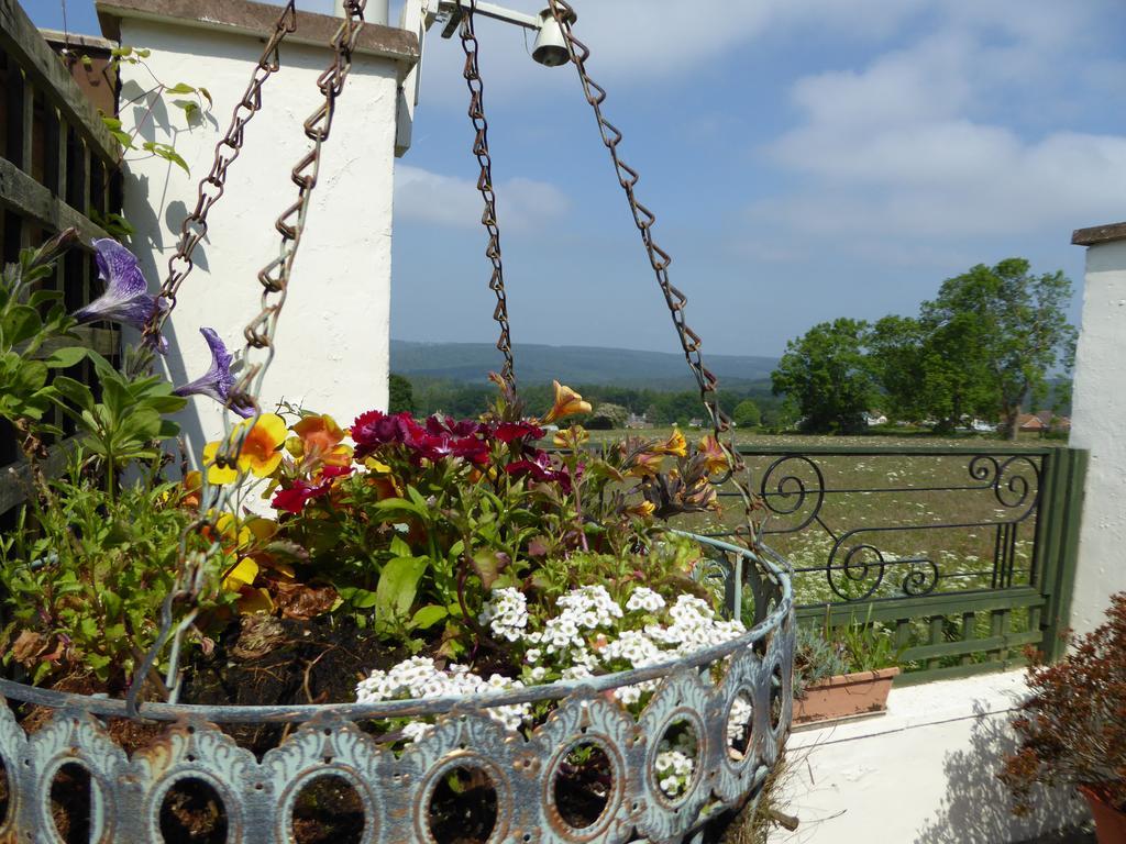 Dean Valley Panorama Bed & Breakfast Lydney Eksteriør billede