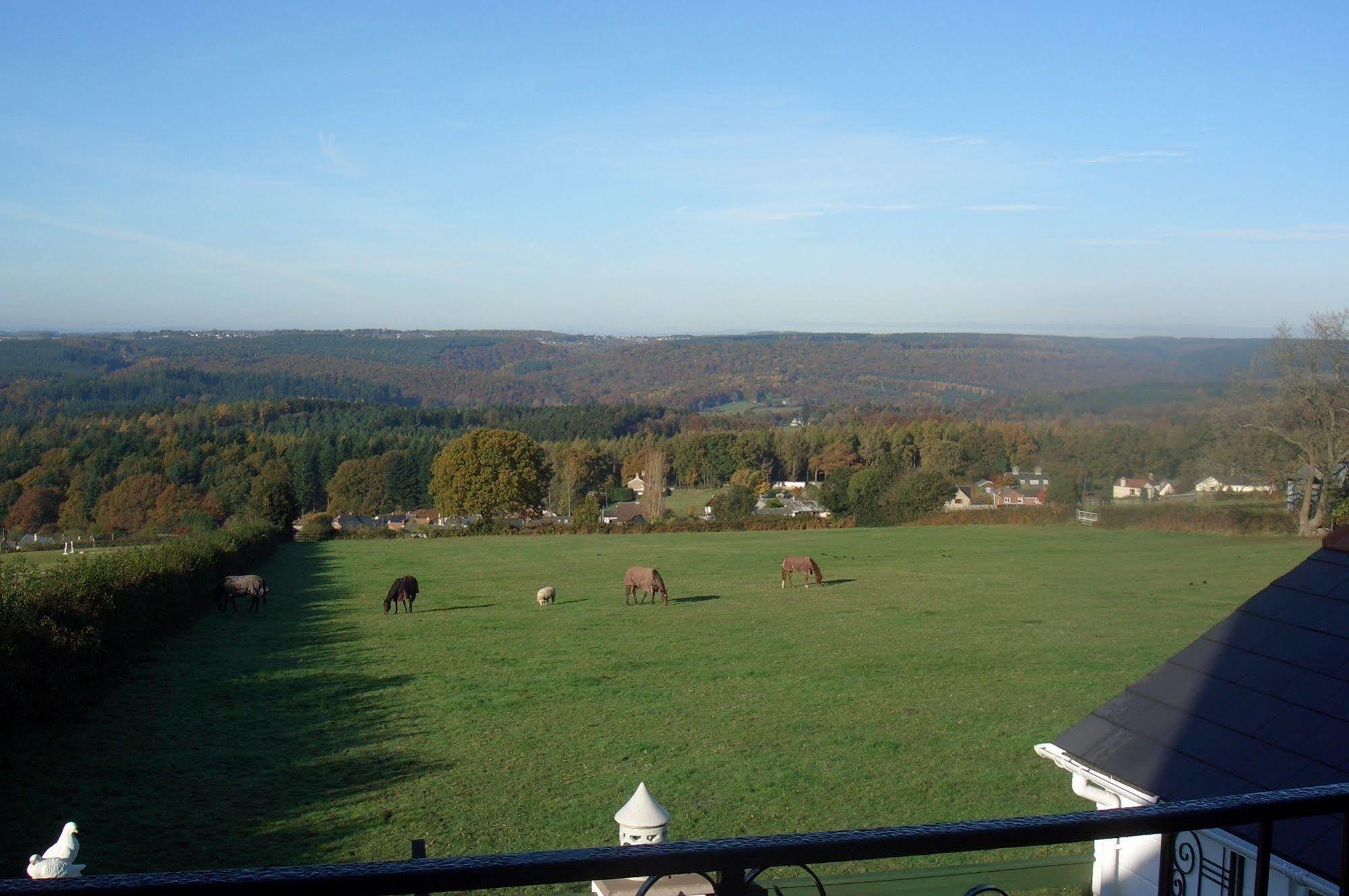 Dean Valley Panorama Bed & Breakfast Lydney Eksteriør billede